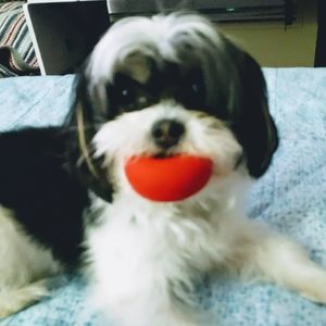 Meet your Posher, Debra